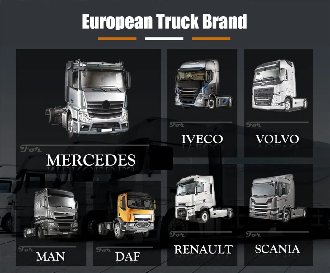 Engine / Brake / Chassis/ Body /Transmission/Electrical/Truck Spare Parts for Mercedes-Benz/Volvo/Man/Scania/Iveco/ Isuzu/ Mitsubishi/ Hino/Hyundai/Toyota