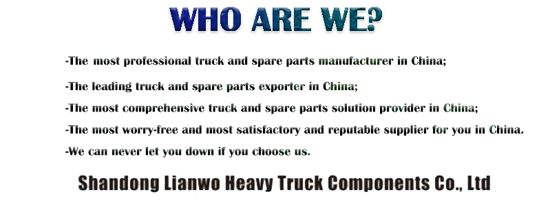 Look Here One-Stop Shopping All Series Sinotruck HOWO Heavy Truck Spare Parts Mt86 FAW Shacman Pengxiang Weichai Dongfeng Benz Volvo Oil Filter Truck Parts