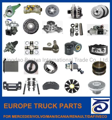 Engine / Brake / Chassis/ Body /Transmission/Electrical/Truck Spare Parts for Mercedes